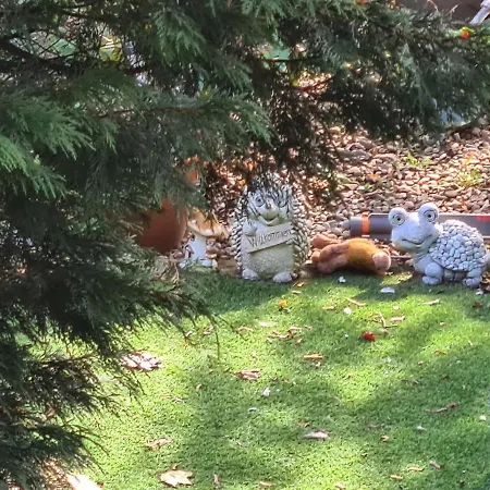 Apartament Fellnasen Wg 2 *