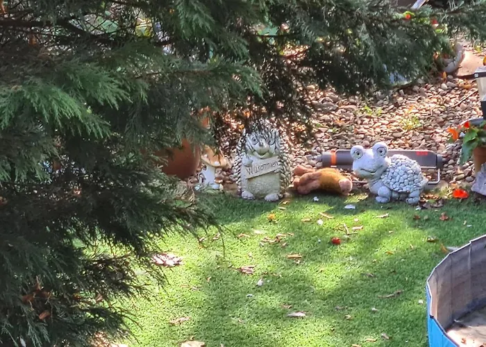 Apartament Fellnasen Wg 2 *